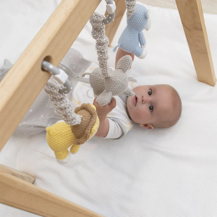 Living Textiles | 2pk Stroller Toys - Elephant & Hippo