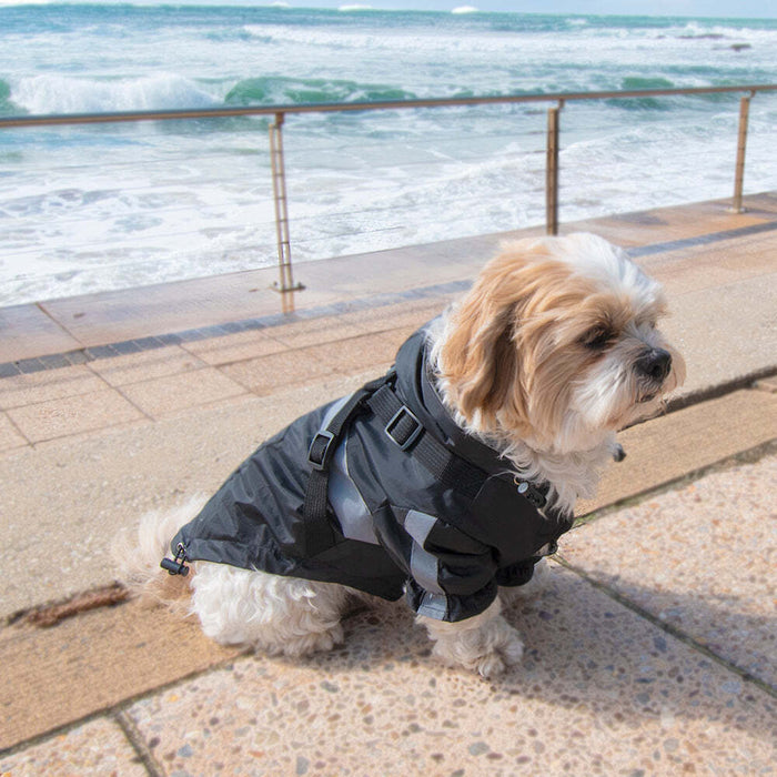 Lolli Living | Black Dog Raincoat