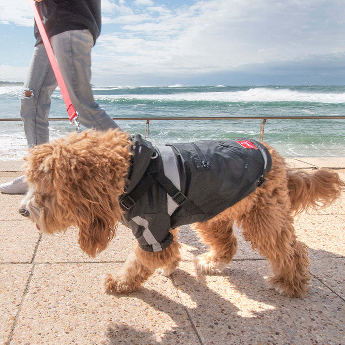 Lolli Living | Black Dog Raincoat