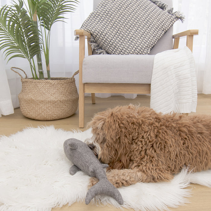 Louie Living | Sammie the Shark Dog Toys