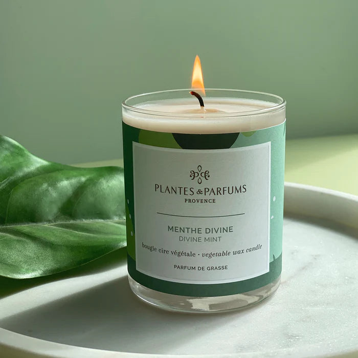 Plantes & Parfums | Handcrafted Perfumed Candle - 180g - Divine Mint