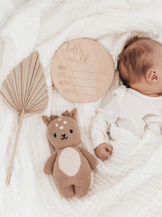 Henry & Flo |‘Hello World’ Birth Announcement Plaque