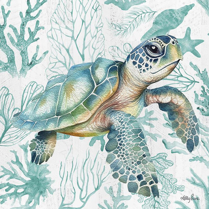 Kelly Lane | Coastal Turtle Canvas - 20x20cm