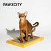 PAWZCITY | Vintage Tape Cat Scratching Board - B - Lozza’s Gifts & Homewares 