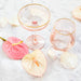 Coupe Glasses Rose Crystal Set of 2 - Lozza’s Gifts & Homewares 