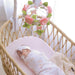 2pk Bassinet Fitted Sheets - Butterfly Garden - Lozza’s Gifts & Homewares 