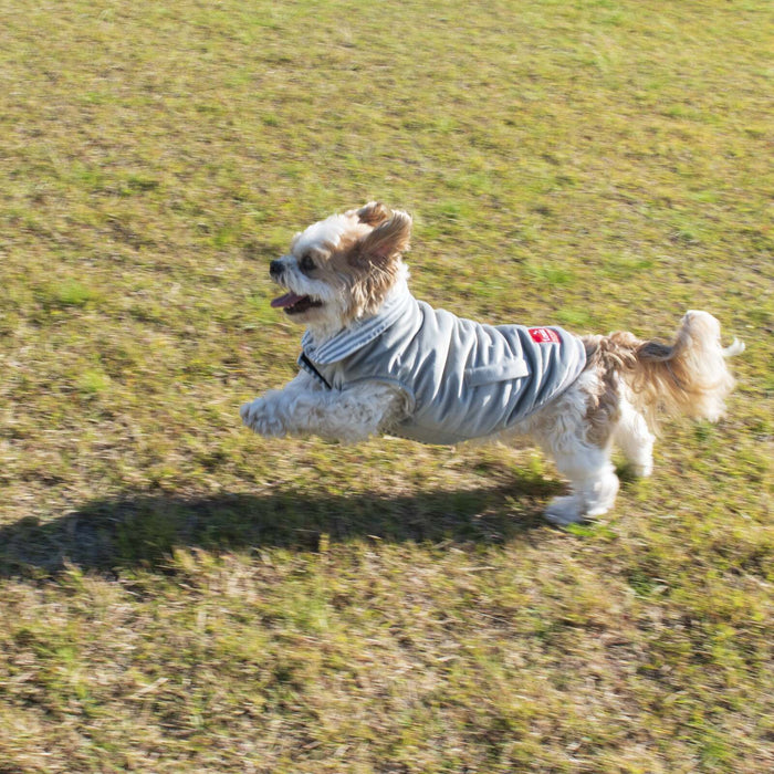 Reversible Light Dog Sweater - Lozza’s Gifts & Homewares 