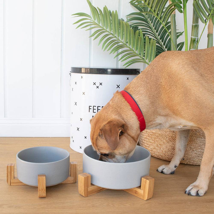 Ceramic Pet Bowl with Stand - Large - Lozza’s Gifts & Homewares 