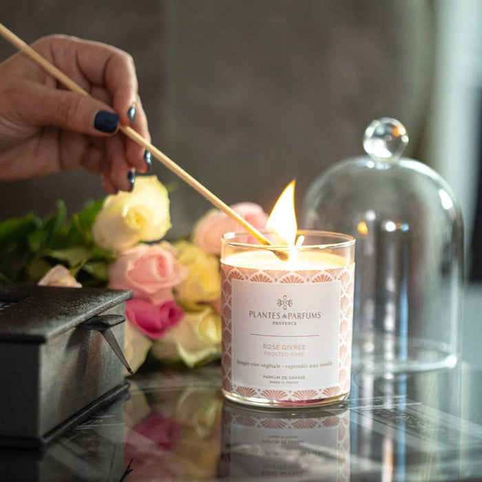 Plantes & Parfums - 75g Handcrafted Perfumed Candle - Frosted Rose - Lozza’s Gifts & Homewares 