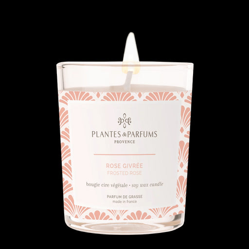 Plantes & Parfums - 75g Handcrafted Perfumed Candle - Frosted Rose - Lozza’s Gifts & Homewares 